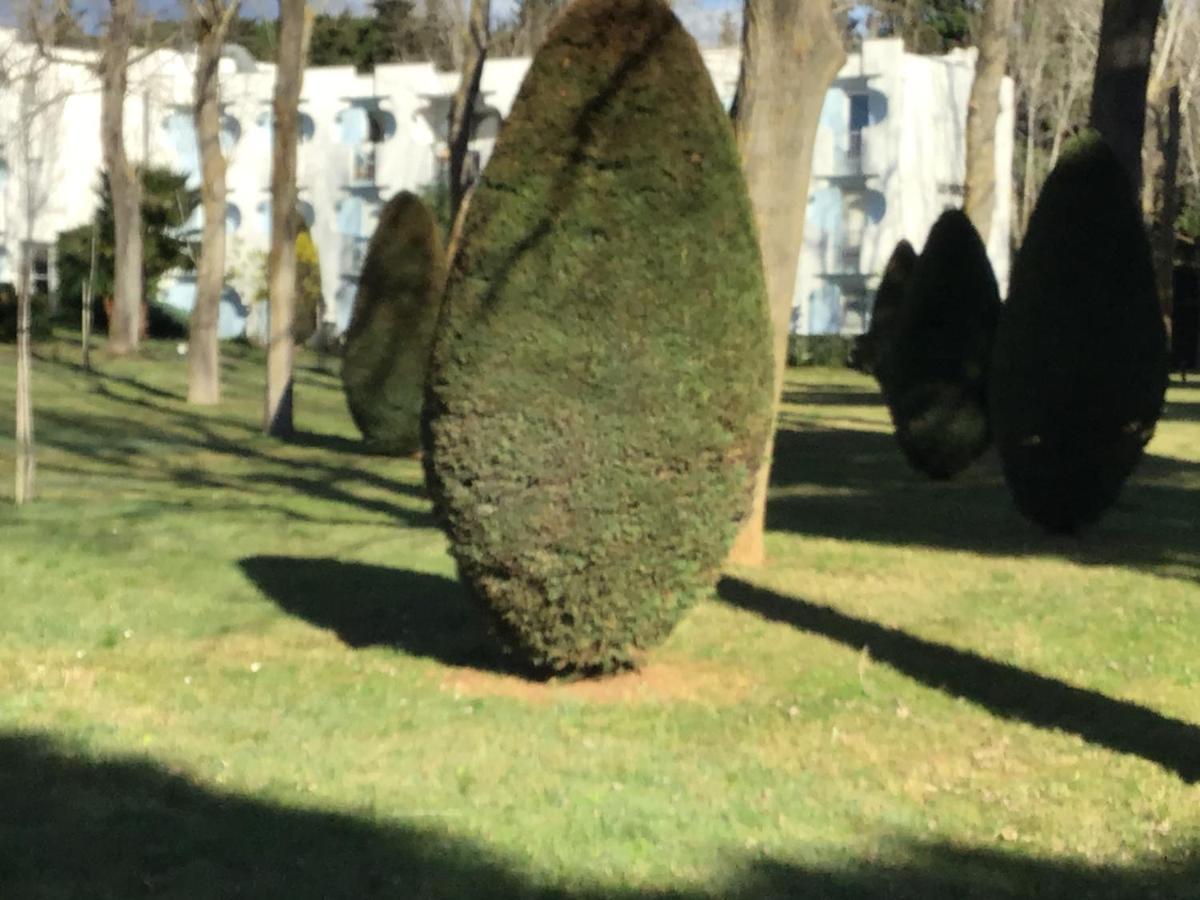 Ferienwohnung T3 Les Peupliers Proche Pasino Et Mer La Grande-Motte Exterior foto